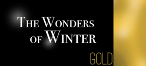 Graphic Design by Aquila Design