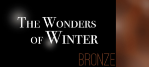 Diseño Gráfico por Aquila Design para Condept Multi-Agency AS | Diseño: #6818577