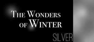 Diseño Gráfico por Aquila Design para Condept Multi-Agency AS | Diseño: #6818578