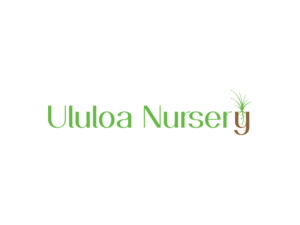 Diseño de Logo por smrzdesign para Ululoa Nursery | Diseño: #6884424