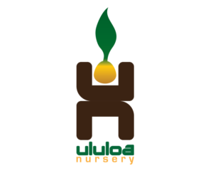 Diseño de Logo por HOnoR para Ululoa Nursery | Diseño: #6816981