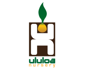 Diseño de Logo por HOnoR para Ululoa Nursery | Diseño: #6816982