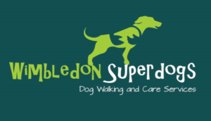 Logo Design by Lins