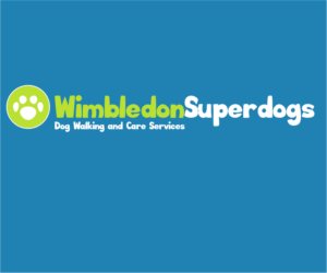 Logo Design by dreams and reality