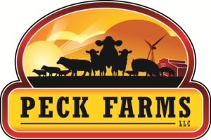 Logo Design by treeArt for this project | Design: #6835958