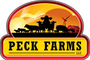 Logo Design by treeArt for this project | Design: #6835993