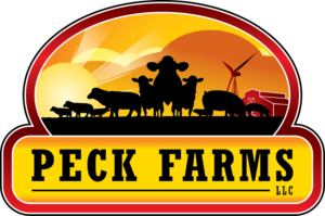 Logo Design by treeArt for this project | Design: #6837572