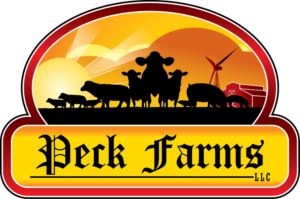 Logo Design by treeArt for this project | Design: #6837721