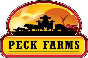 Logo Design by treeArt for this project | Design: #6852045
