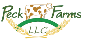Logo Design by creativekim for this project | Design #6816283