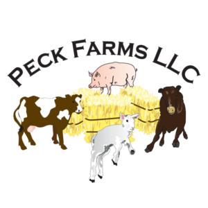 Logo Design by ktgrandy for this project | Design #6835524