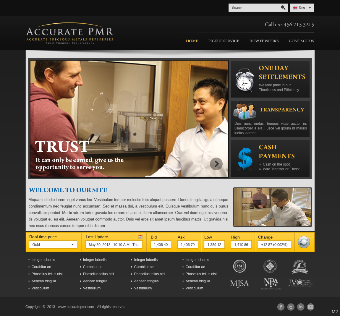 Web Design by pb for Accurate Precious Metals Refineries Inc. | Design #1873161
