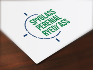 Design de Logo par IyaIyayo pour ce projet | Design #6862122