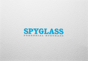 Logo Design by Hulk smith