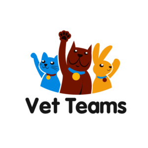 Logo Design by Wrique Design for Vet Teams, LLC | Design: #6866001