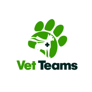 Logo Design by Wrique Design for Vet Teams, LLC | Design: #6875235
