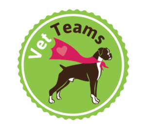 Logo Design by TSEdesign for Vet Teams, LLC | Design: #6842260
