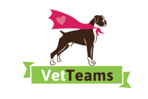 Logo Design by TSEdesign for Vet Teams, LLC | Design #6842272