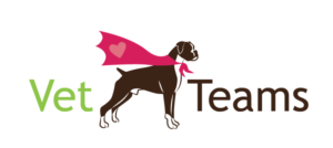 Logo Design by TSEdesign for Vet Teams, LLC | Design: #6842274