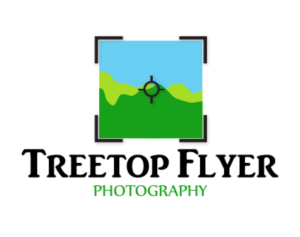 Logo Design by Ana Maria ZM