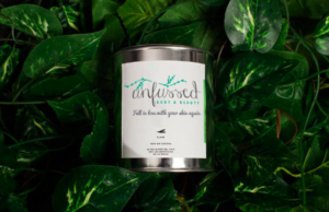 Logo Design by wonderland for DBA Unfussed | Design: #6893929