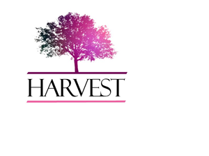 Logo Design by Acorn Design Inc for this project | Design #1794008