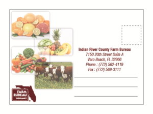 Design de Carte Postale par Imran Ali pour ce projet | Design : #6857054