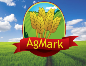 Logo Design by Designers_Clump