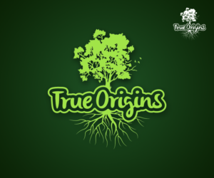 Diseño de Logo por eagle para este proyecto | Diseño: #6888386