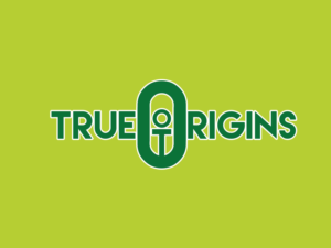 Logo Design by nunomart