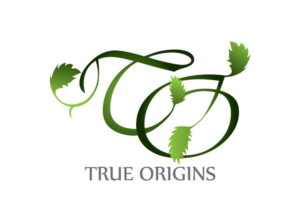 Logo Design by yaadesigns