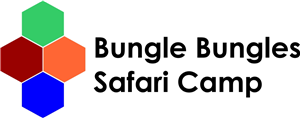Logo Design by burgz