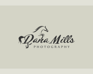 Logo Design by amiled02