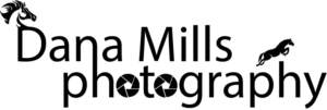 Logo-Design von atriumdesignstudio für Dana Mills Photography | Design: #7054696