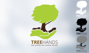 Logo Design by Lilu Design
