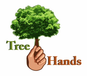 Logo Design by Casey Rosa Graphics