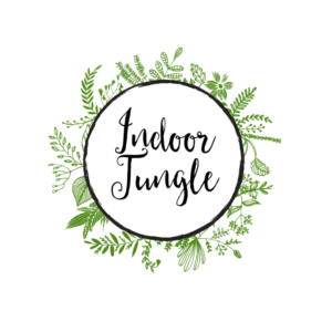 Design de Logo par CinnamonGirl pour Indoor Jungle | Design : #6975359