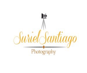 Logo Design by Bradhil24