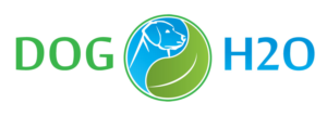 Logo Design by oana06000