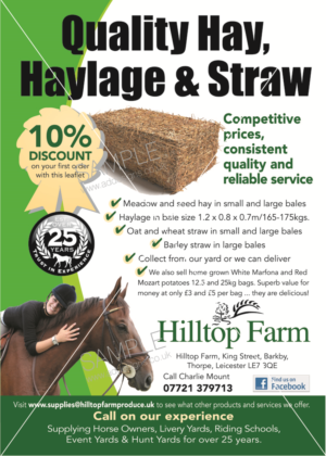 Flyer Design by the artworks for this project | Design #6943327