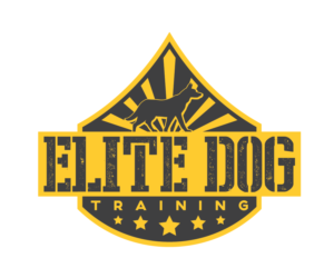 Diseño de Logo por crizzyARTz para este proyecto | Diseño: #6888673