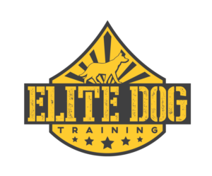 Diseño de Logo por crizzyARTz para este proyecto | Diseño: #6888674