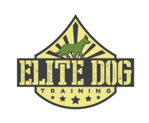 Diseño de Logo por crizzyARTz para este proyecto | Diseño: #6898482