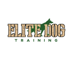 Diseño de Logo por crizzyARTz para este proyecto | Diseño: #6939727