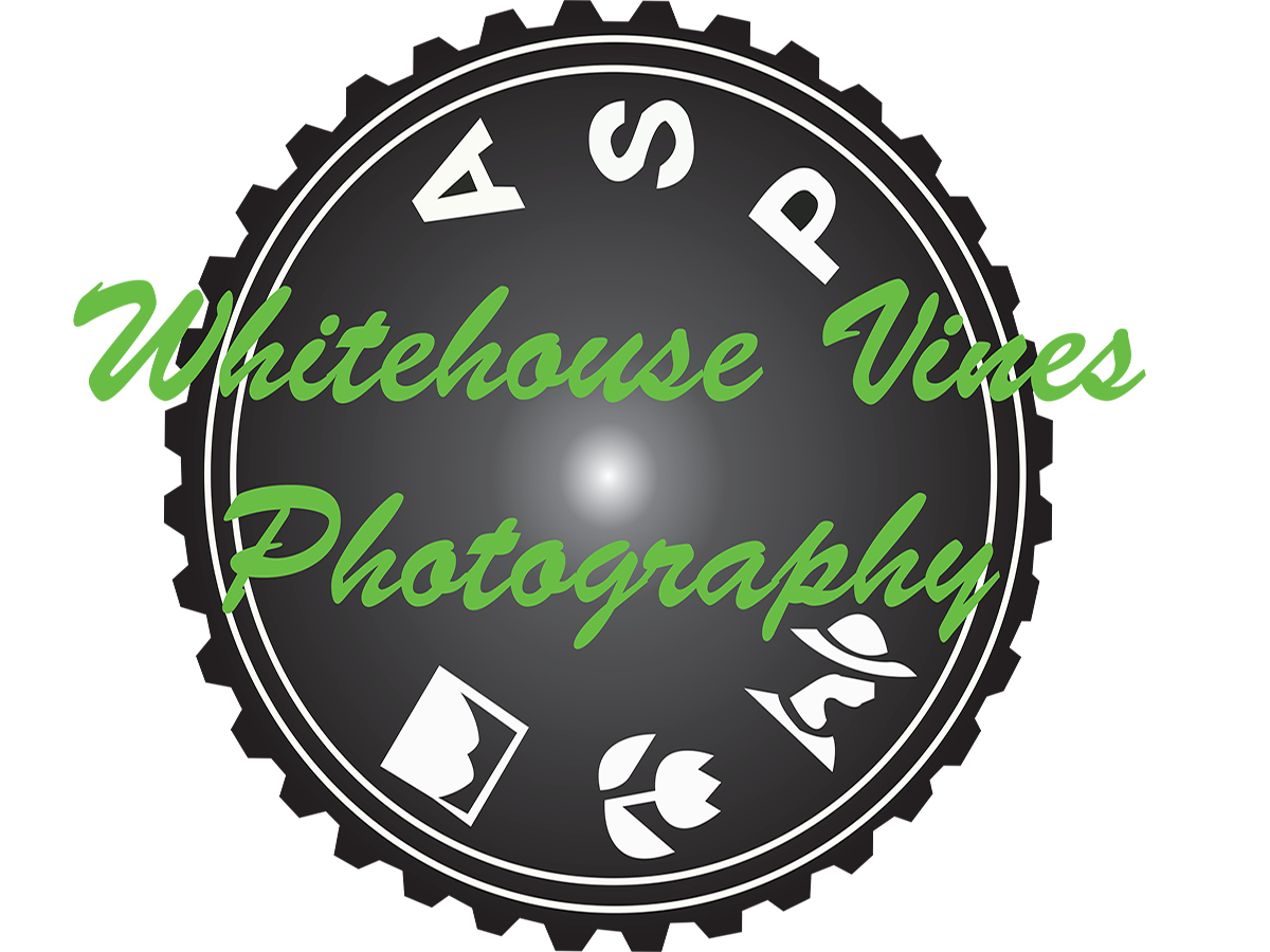 Logo Design by Fiachra Design for WhiteHouse Vines | Design #1774990
