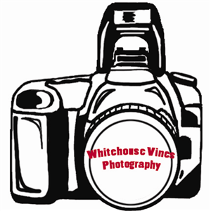 Logo Design by bsanders