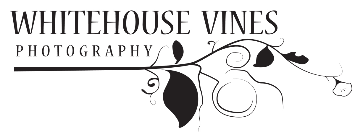 Logo Design by Directing Perception for WhiteHouse Vines | Design #1818580