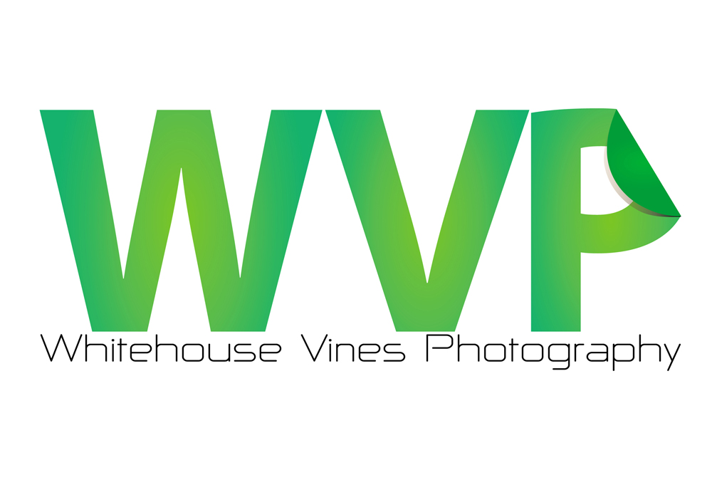 Diseño de Logo por  Irfan para WhiteHouse Vines | Diseño #1885551
