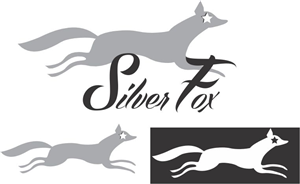 Logo Design by Sandro