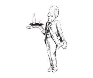 Illustration Design by Chauá Studio
